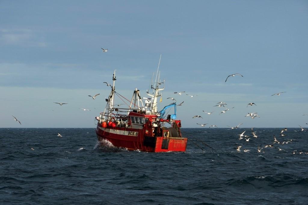 "Come&ccedil;amos pela pesca e n&atilde;o continuamos (...) se n&atilde;o houver resultados", afirmou eurodeputado
