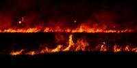 Incêndio em Xangri-lá atingiu mata local