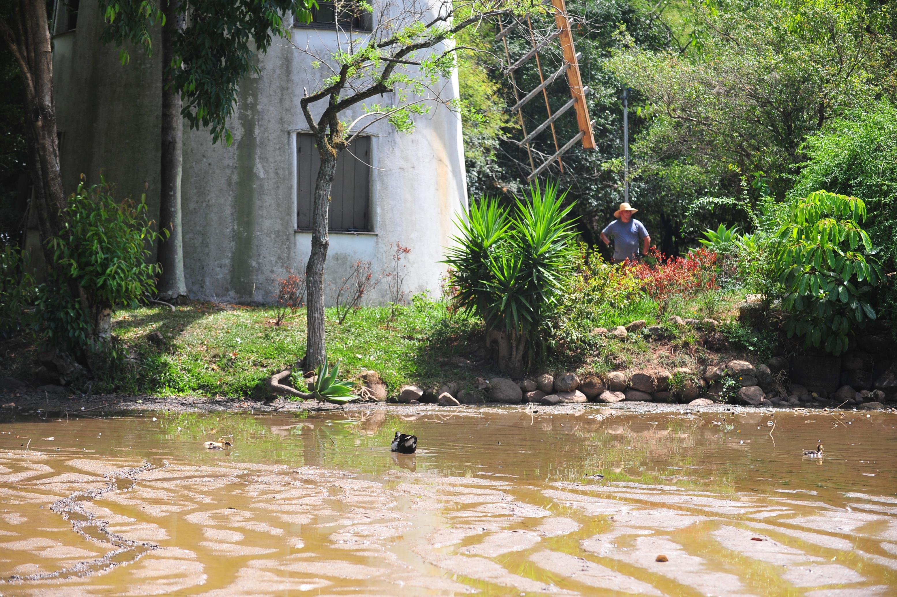 C&aacute;gados, patos e peixes vivem no local