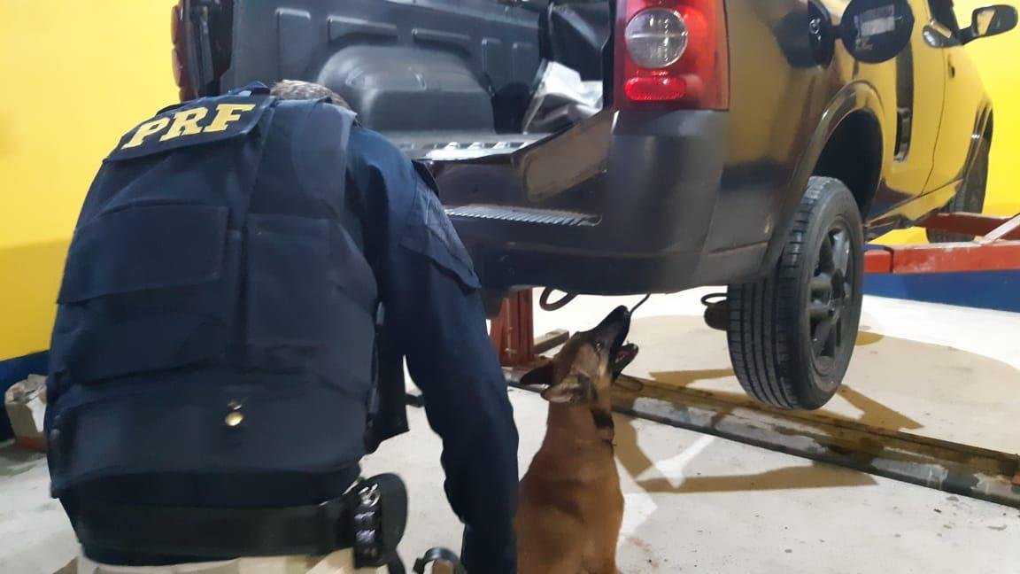 A&ccedil;&atilde;o contou com ajuda de c&atilde;es farejadores da Brigada Militar