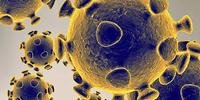 OMS eleva ameaça internacional do novo coronavírus