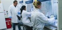 Estados Unidos já têm mais de 60 casos do novo coronavírus