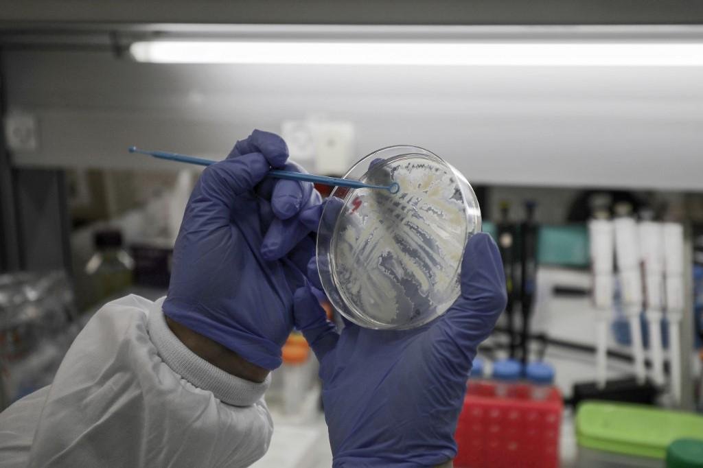Especialista da Institui&ccedil;&atilde;o ressaltou que "n&atilde;o h&aacute; raz&atilde;o para p&acirc;nico"