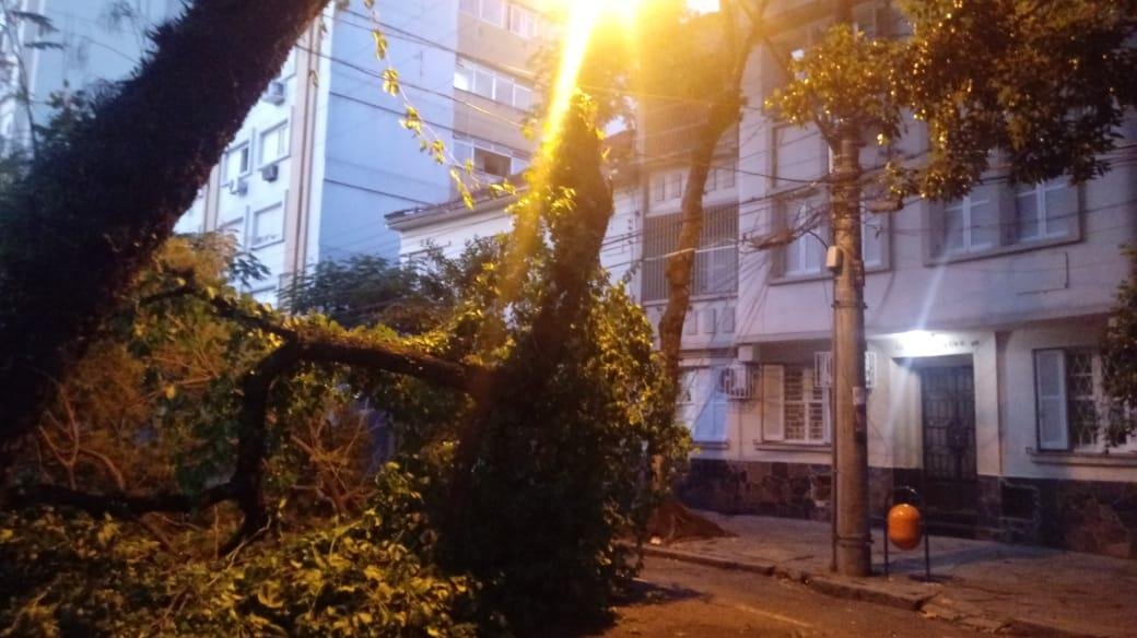 Galho de &aacute;rvore caiu no bairro Santana, em Porto Alegre