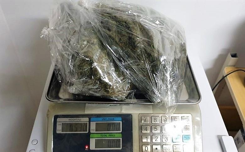 Maconha geneticamente modificada possui elevado teor do princ&iacute;pio ativo THC