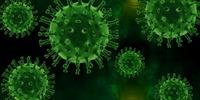 Coronavírus fez vítima de 12 anos na Bélgica