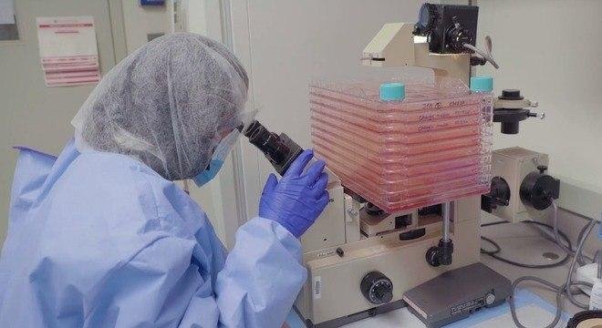 Segundo o estudo, quando testado em laborat&oacute;rio, a Ivermectina foi capaz de acabar com qualquer material gen&eacute;tico do v&iacute;rus em 48 horas