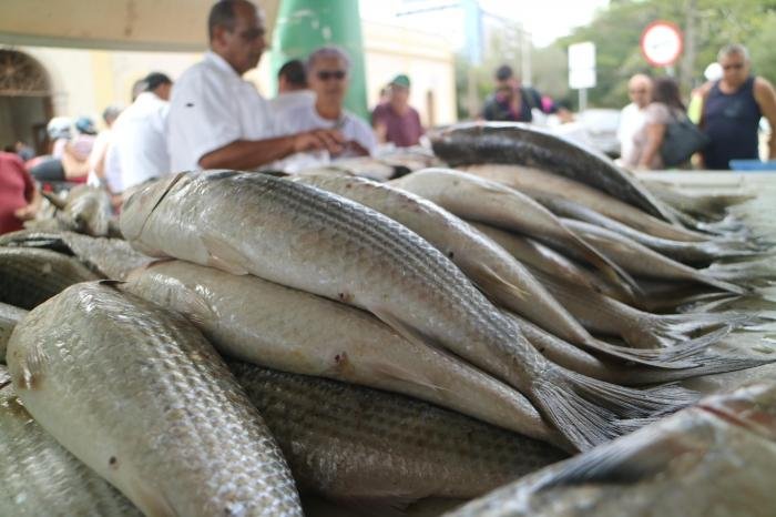 Feira do Peixe de Rio Grande ter&aacute; 22 bancas neste ano.