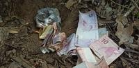 Dinheiro e drogas foram encontrados por policiais civis