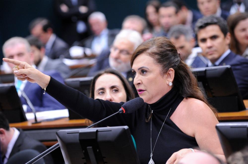 K&aacute;tia Abreu explicou que veterin&aacute;rios precisam fiscalizar todos os abates ocorridos no setor