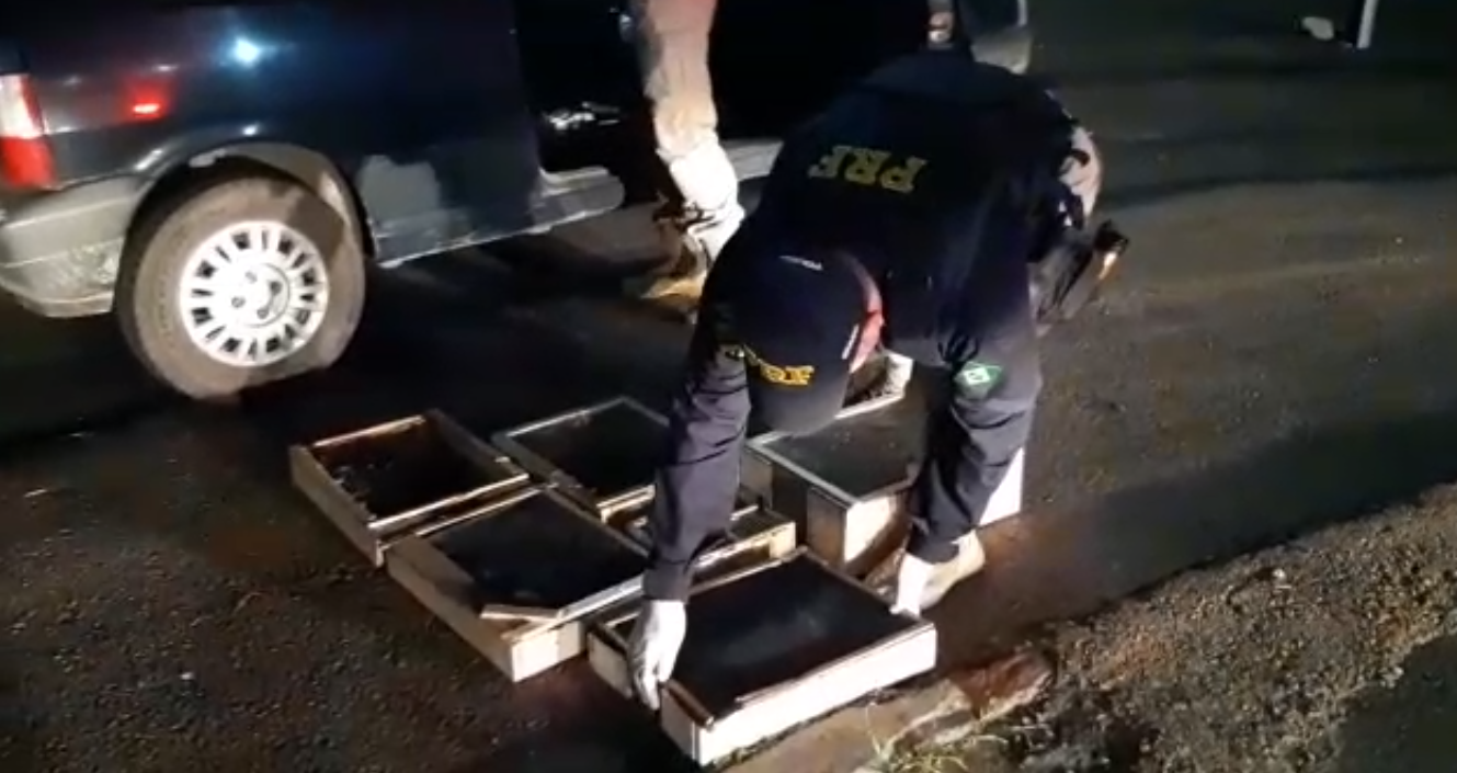 Aves estavam sendo transportadas dentro de gaiolas feitas de caixa e tela no ve&iacute;culo
