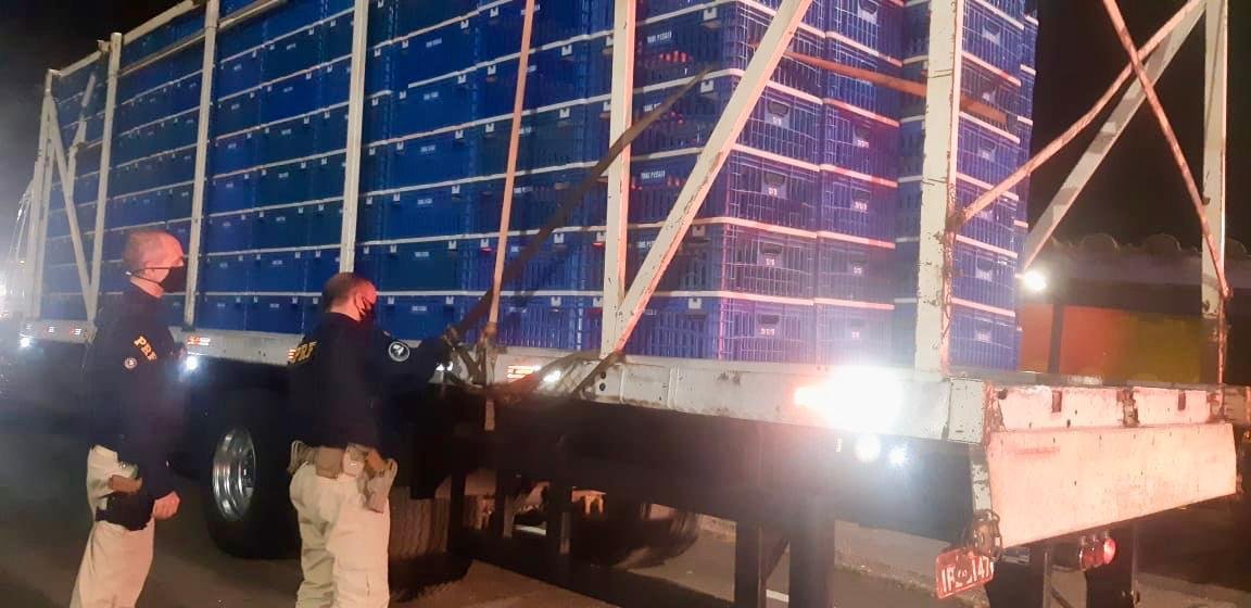 Ve&iacute;culo transporta carregamento de entorpecente oculto entre os engradados vazios