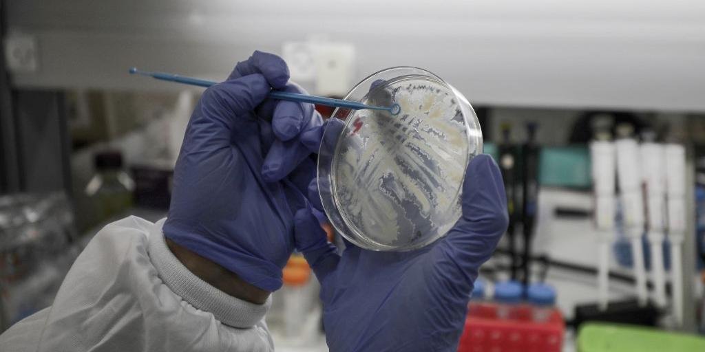 Cientistas lutam contra tempo para descobrir vacina contra novo coronav&iacute;rus