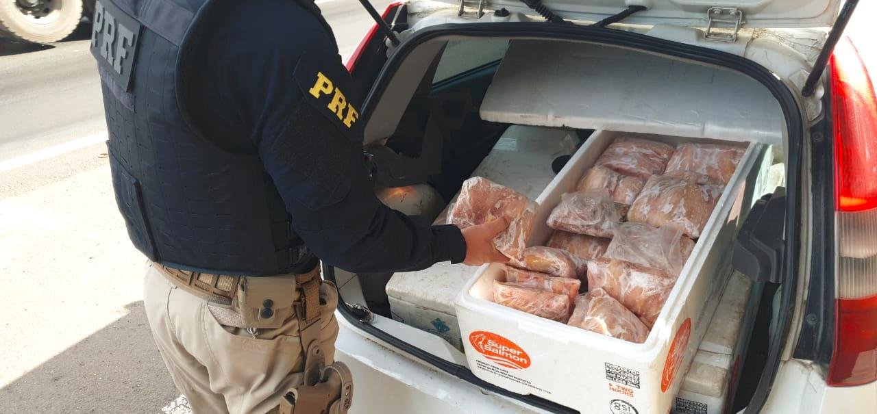 Pol&iacute;cia Rodovi&aacute;ria Federal realizou apreens&atilde;o nesta segunda-feira
