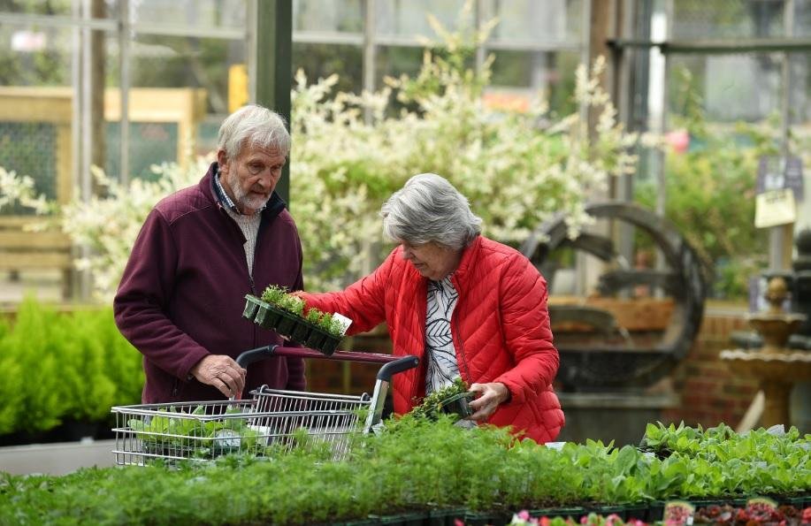 Mais de 12 mil idosos morreram por Covid-19 em lares da Inglaterra e do Pa&iacute;s de Gales