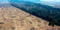 Desmatamento do Brasil está é criticado por supermercados brasileiros