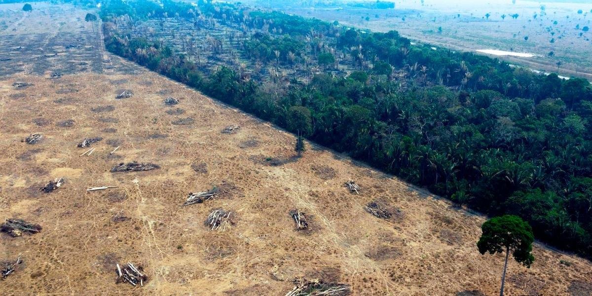 Estendido o prazo das For&ccedil;as Armadas na Amaz&ocirc;nia para combater o desmatamento