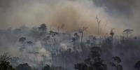 Desmatamento na Amazônia atinge altos níveis em junho