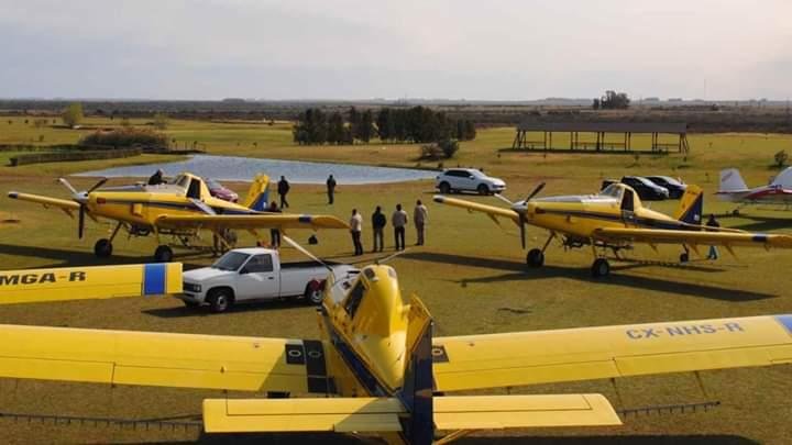 Associa&ccedil;&atilde;o Nacional das Empresas Privadas Aeroagr&iacute;colas do Uruguai monitora a nuvem de gafanhotos que se aproxima do pa&iacute;s com avi&otilde;es