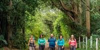 Lançamento de “Buen Camino – Vasculhando a Mochila de Cinco Peregrinos