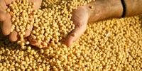 O agronegócio brasileiro será responsável por uma produção de 251 milhões de toneladas de grãos