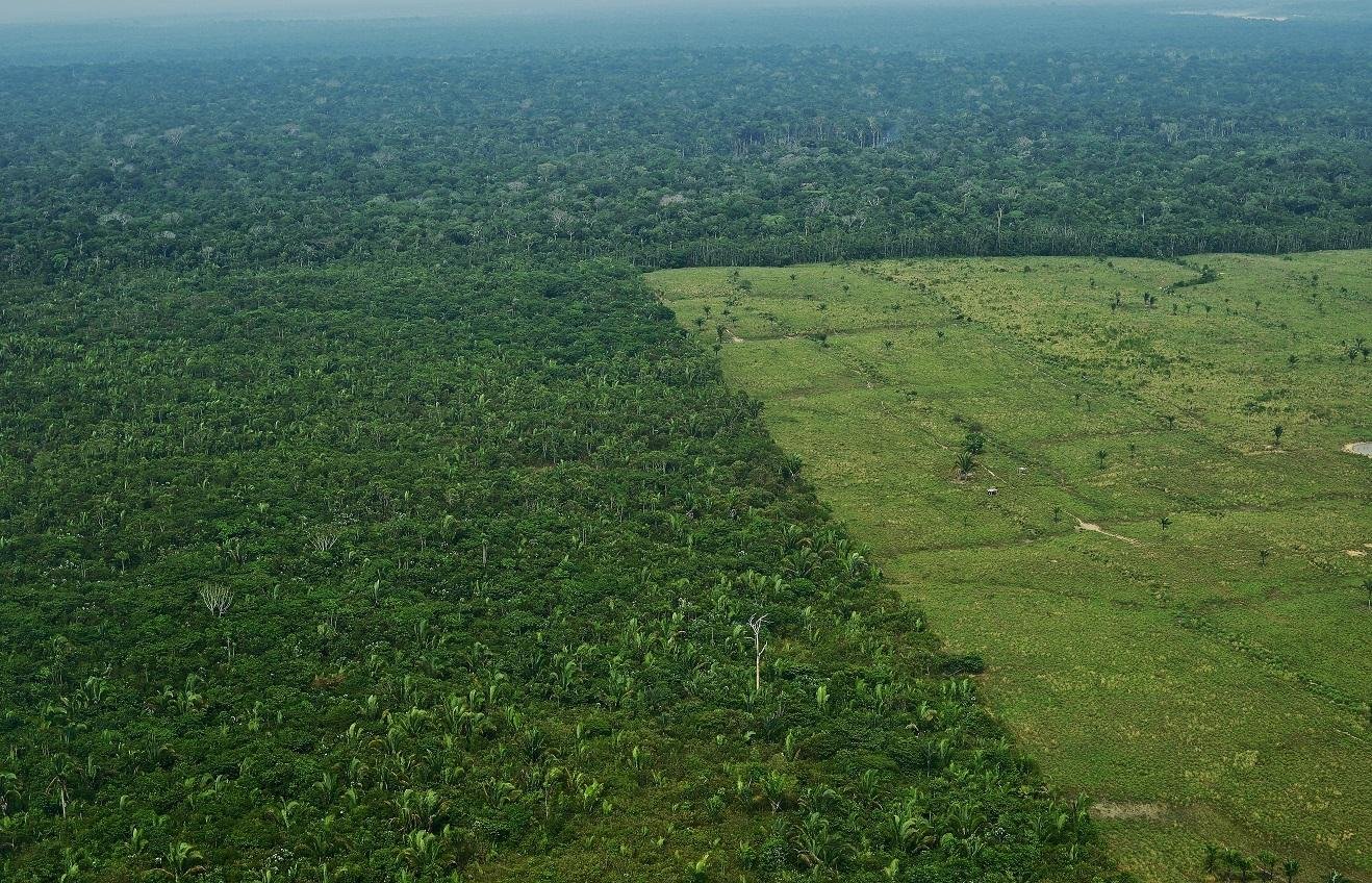 Para obter o registro da terra, os produtores ter&atilde;o de ter o Cadastro Ambiental Rural (CAR) e n&atilde;o ocupar &aacute;reas com embargo ambiental, adequando-se ao C&oacute;digo Florestal