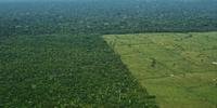 Para obter o registro da terra, os produtores terão de ter o Cadastro Ambiental Rural (CAR) e não ocupar áreas com embargo ambiental, adequando-se ao Código Florestal