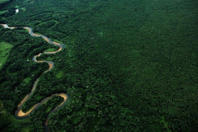 Entre as organiza&ccedil;&otilde;es que assinam a posi&ccedil;&atilde;o est&atilde;o a SOS Mata Atl&acirc;ntica, a WWF e o Instituto Socioambiental