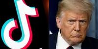 Presidente Donald Trump assina decreto obrigando que uma empresa americana compre o aplicativo TikTok para que ele possa continuar operando nos Estados Unidos