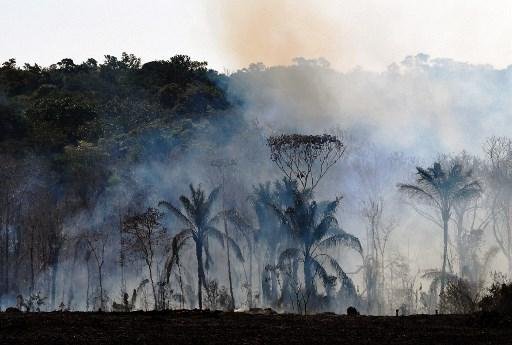 Queimadas na Amaz&ocirc;nia preocupam MPF