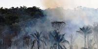 Queimadas na Amazônia preocupam MPF