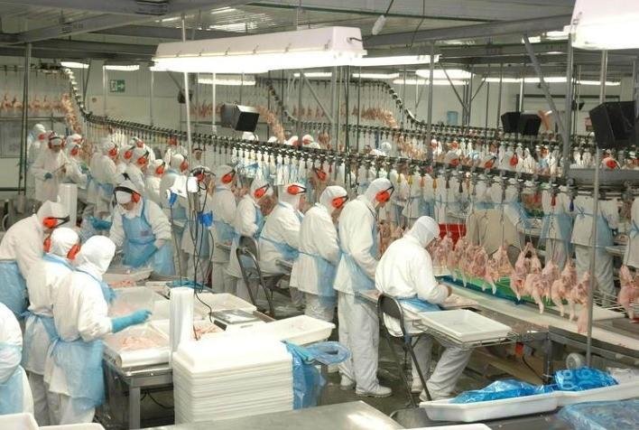 Frango exportado pelo Brasil para a China estaria contaminado com o novo coronav&iacute;rus