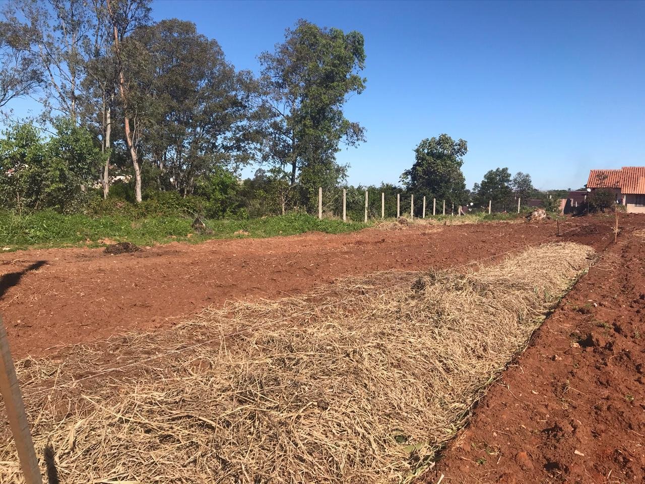 Fitoter&aacute;picos ser&atilde;o cultivados em um horto que est&aacute; sendo montado