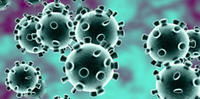 Cientistas confirmaram três casos de reinfecção pelo novo coronavírus