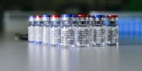 Vacina foi anunciada em 11 de agosto