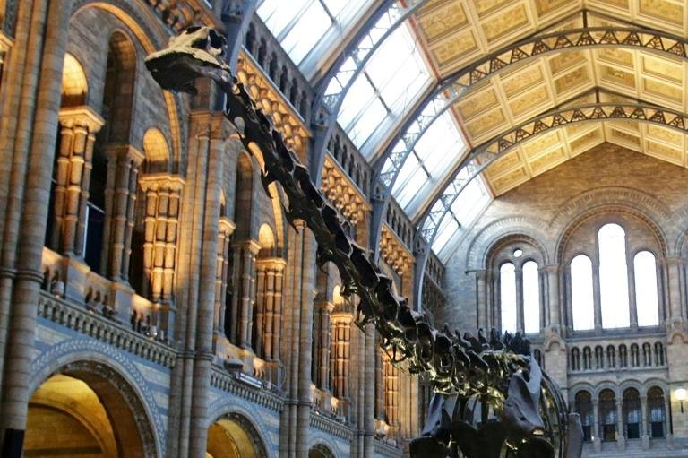 Museu de Hist&oacute;ria Natural de Londres revisar&aacute; cole&ccedil;&otilde;es eventualmente 'ofensivas'