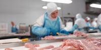 Na relação com agosto do ano passado, a receita de carne de frango reduziu de 553,3 milhões de dólares para R$ 497,8 milhões de dólares no último mês