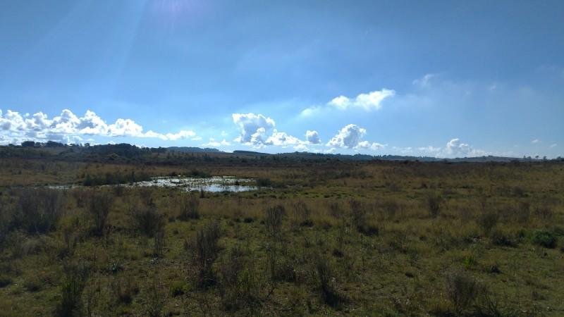 Reservat&oacute;rio ficar&aacute; localizado em um curso d&rsquo;&aacute;gua denominado Arroio Piraizinho