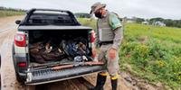 Caminhonete foi interceptada pelos policiais militares na Estrada dos Quilombos