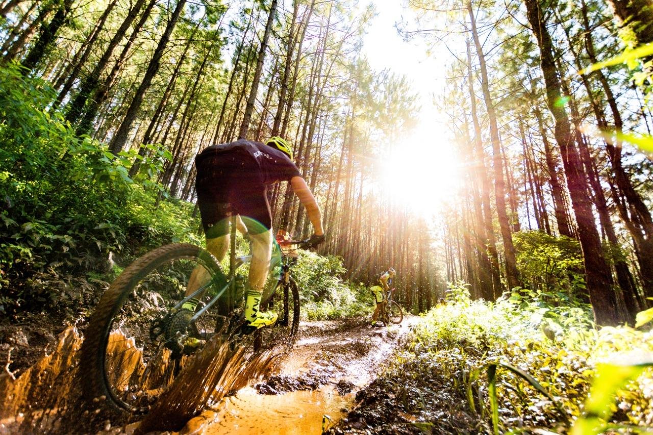 Rolante apresentou, al&eacute;m do relat&oacute;rio de sustentabilidade, dois relatos: o do cicloturismo e o projeto Ambientalistas Mirins