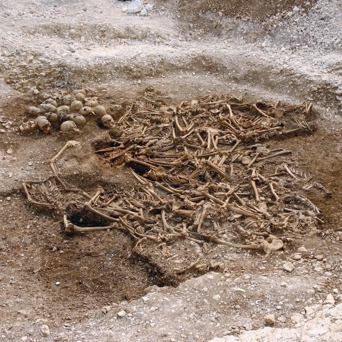 Os pesquisadores sequenciaram o genoma de 442 fragmentos de ossos da era Viking