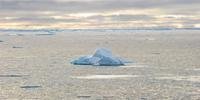 Ártico pode experimentar um primeiro verão sem gelo a partir de 2035