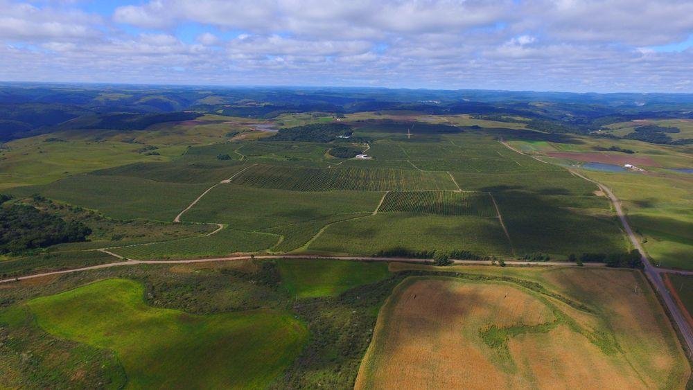 A &aacute;rea que receber&aacute; o aeroporto compreende 445 hectares na localidade de Tabela, em Vila Oliva