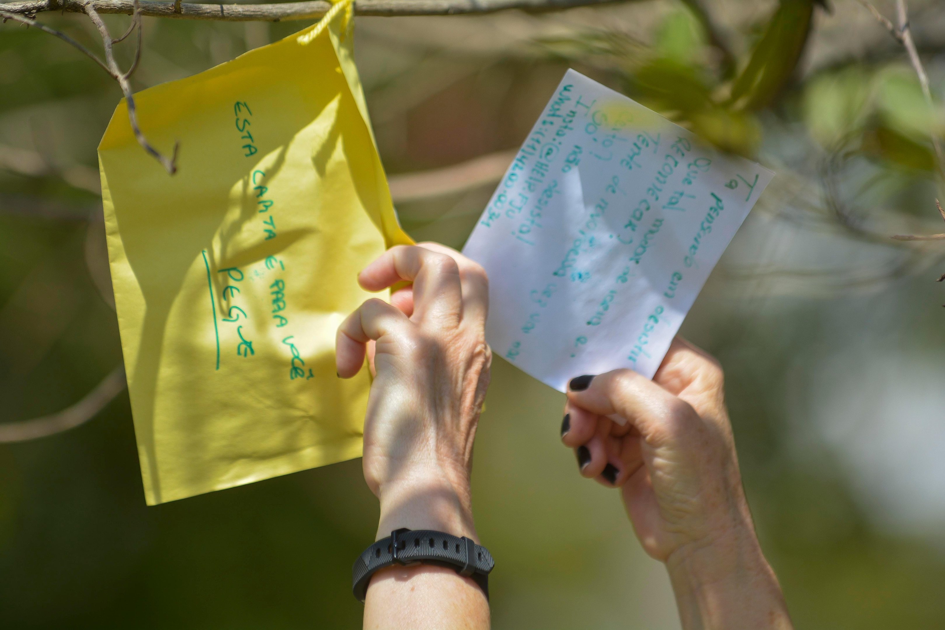 Foram espalhadas mais de 50 mil cartas pelo Brasil
