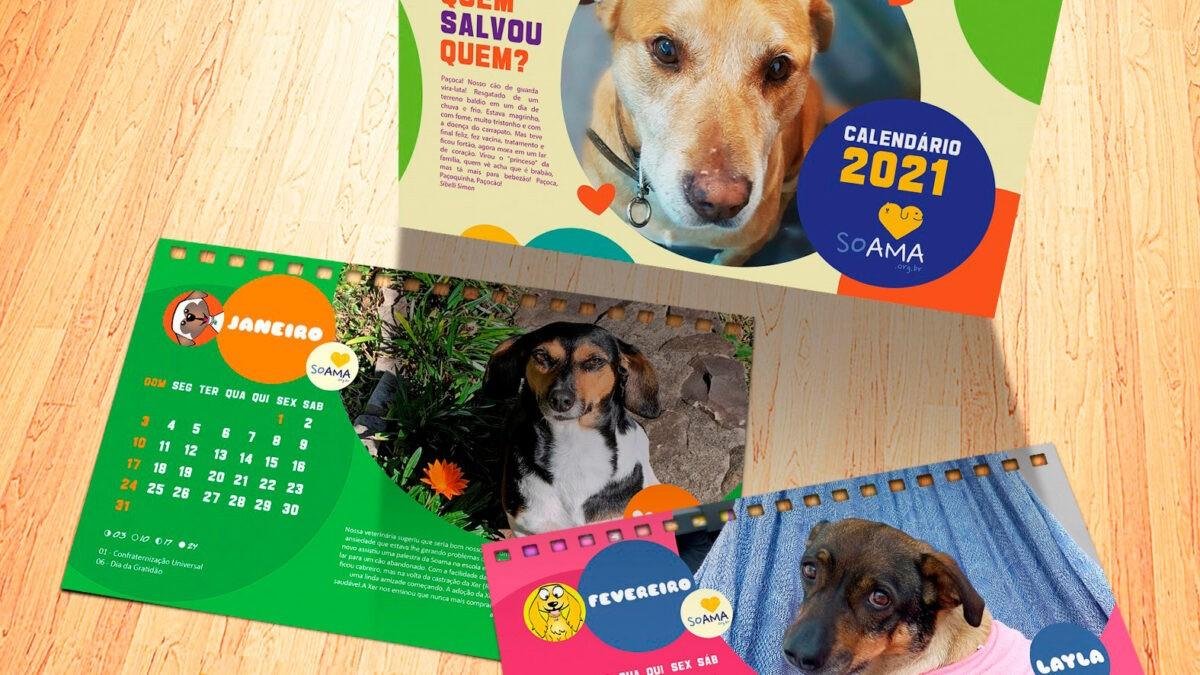 Cada calend&aacute;rio custa R$ 10