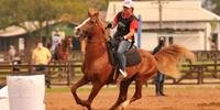O Campeonato Domados do Pampa, que avalia cavalos árabes, é um dos vários torneios que integram a feira