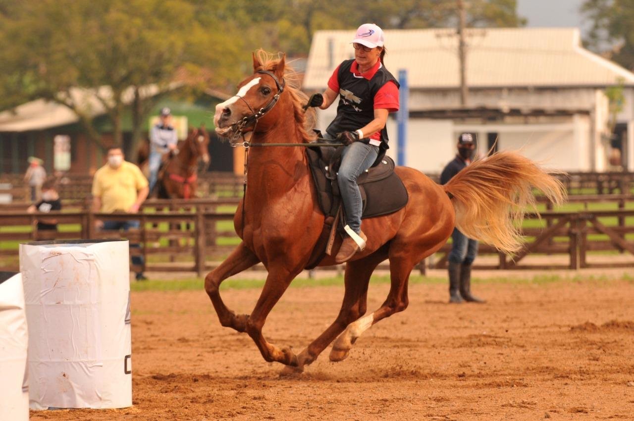 O Campeonato Domados do Pampa, que avalia cavalos &aacute;rabes, &eacute; um dos v&aacute;rios torneios que integram a feira