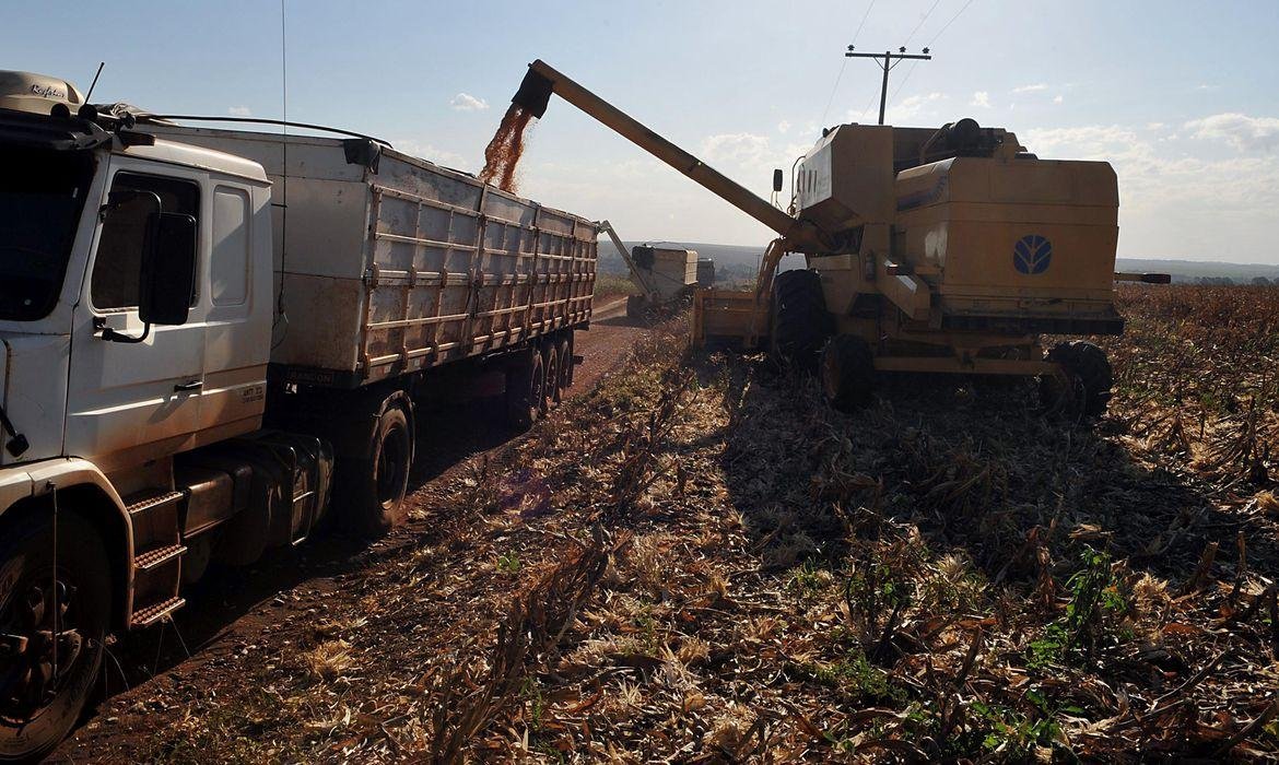 Safra agr&iacute;cola alcan&ccedil;a valor de produ&ccedil;&atilde;o recorde em 2019