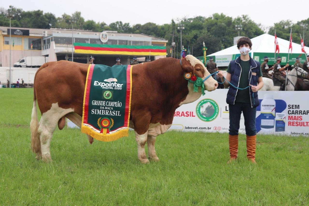 O animal conquistou, pela segunda vez, o t&iacute;tulo de Grande Campe&atilde;o da ra&ccedil;a