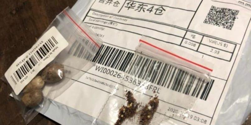 Embalagens misteriosas chegam como se fossem brindes de compras pela Internet